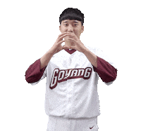 키움히어로즈 Sticker by Kiwoom Heroes Baseball Club