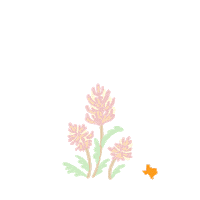 Indian Paintbrush Wildflowers Sticker by Travel Texas