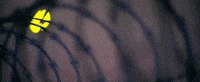 know your enemy GIF by Green Day
