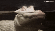 Looking Season 1 GIF by The Roku Channel