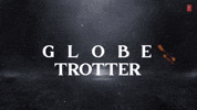 Mahesh Babu Globetrotter GIF
