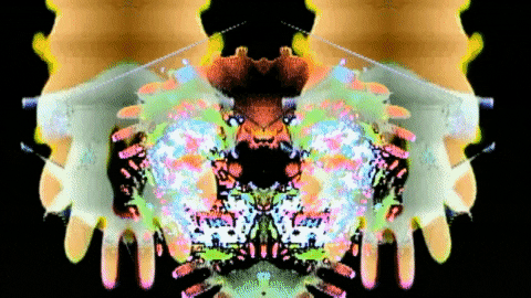 Video Art GIF by cskonopka