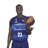 Liga Endesa Sport Sticker by ACB