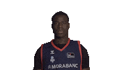 Liga Endesa Basketball Sticker by ACB