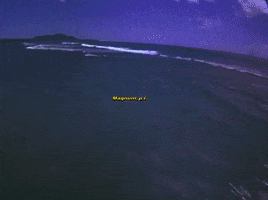 Magnum Pi GIF