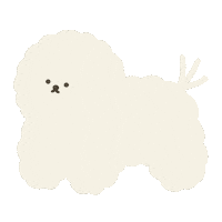 Bichonfrise ビション Sticker