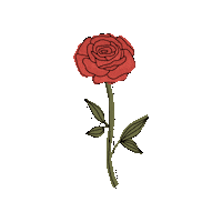 Flower Love Sticker