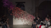 mbfwa 2017 steven khalil GIF by Mercedes-Benz Fashion Week Australia