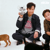 Puppy Puppies GIF by BuzzFeed