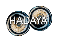 Lamp Licht Sticker by Hadaya