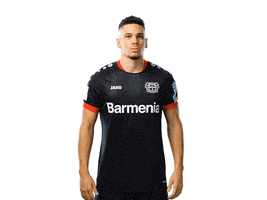 Bayer 04 Clapping GIF by Bayer 04 Leverkusen