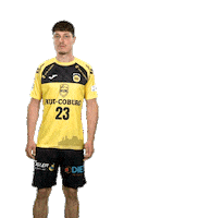 Sport Handball Sticker by HSC 2000 Coburg