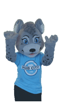 hub city ckids Sticker by Celebration Church