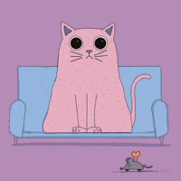 Gata GIF by victorious_es