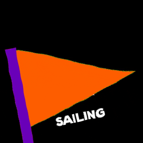 zimsailing giphygifmaker sailing zim zim sailing GIF