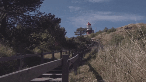 westcordhotels giphyupload GIF