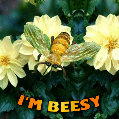 Im Busy Honey Bee GIF