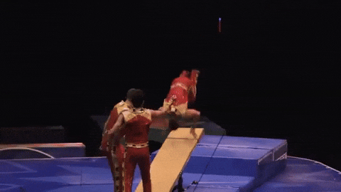 Dance Flip GIF by Ringling Bros. and Barnum & Bailey