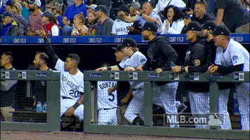rockies GIF by MLB