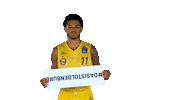 Ewe Baskets Sport Sticker by EWE Baskets Oldenburg