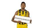 Ewe Baskets Basketball Sticker by EWE Baskets Oldenburg