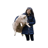 ulli_sima things sheep holding spoe Sticker