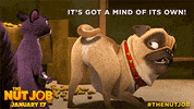 the nut job dog GIF by The Nut Job 2: Nutty By Nature