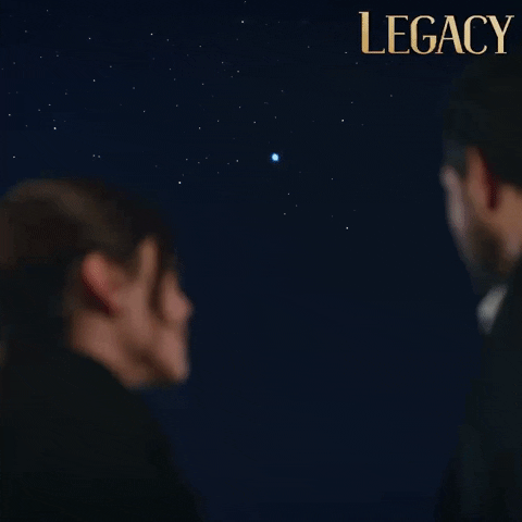 Legacy Emanet GIF by Eccho Rights