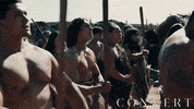 War Fighting GIF by Magnolia Pictures