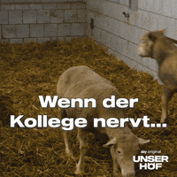 Fight Wow GIF by Sky Deutschland