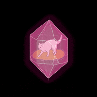 Cat Pink GIF by littlekingdoms