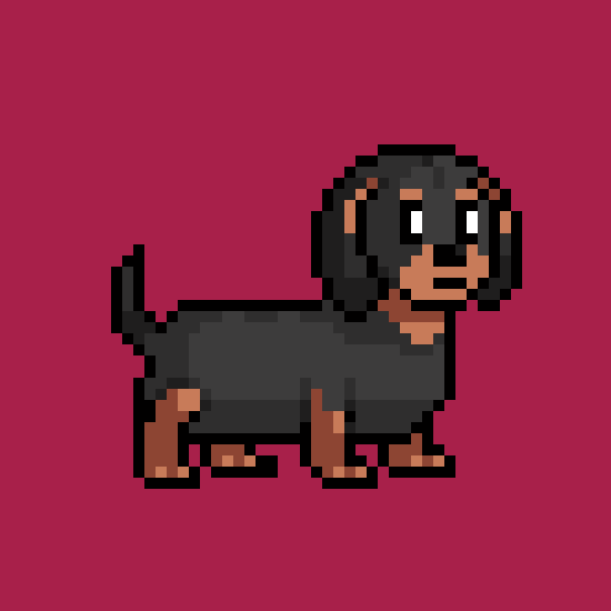 Dog Focus GIF by Abstract HotDogs