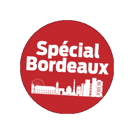 SudOuest giphygifmaker bordeaux pfe sudouest Sticker