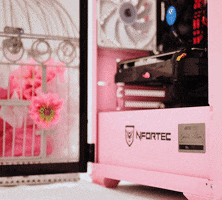 Pc Gaming GIF by Nfortec