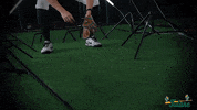 Tulane Rollwave GIF by GreenWave