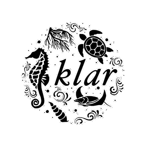 Blueandsnow Sticker by SNSI Japan