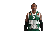 Basketball Hoops Sticker by Basket_fi