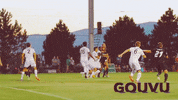 proud utah valley university GIF