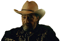 Frank Lammers Cowboy Sticker by NETFLIX