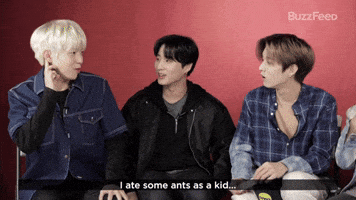 Eating Ants