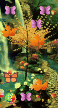 El Sol Amigos GIF by Murcianys LLC