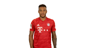 Swipe Up Fc Bayern Sticker by Bundesliga