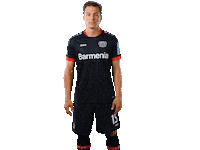 Bayer 04 Werkself Sticker by Bayer 04 Leverkusen