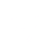 Armis Group Sticker by ARMIS