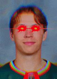 dukesnyder boldy mn wild GIF