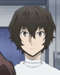 oxo_raccoon bsd bungo stray dogs dazai osamu GIF