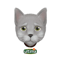 UltimaES gato triste llorar tristeza Sticker