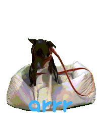 아르르 Sticker by arrr_official