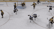 happy ice hockey GIF by NHL