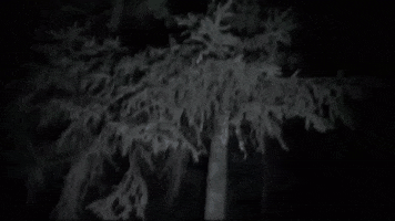 Kiss Of Death Ic3Peak GIF by Database數據